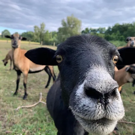 Ξενοδοχείο Rosenhof