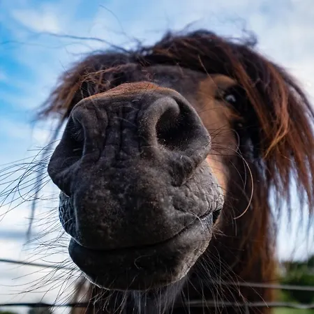Rosenhof Ξενοδοχείο Quetzin