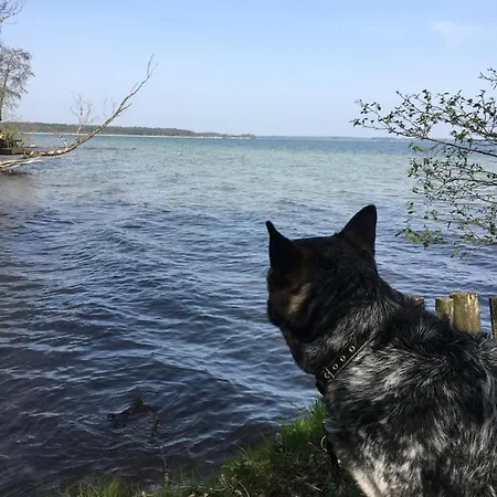 Rosenhof Ξενοδοχείο